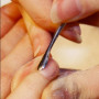 Spingipelle Su Mani