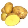 Patate