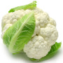 Cavolfiore