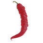 Peperoncino
