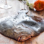 Pesce Crudo