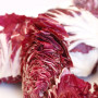 Primo Piano Radicchio