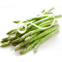 Asparagi 2