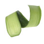 Buccia Zucchina