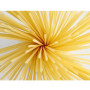 Spaghetti-2