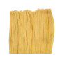 Tagliatelle Fresche