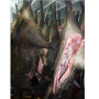 Scuoiare Cinghiale