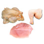 Carne Di Pollo