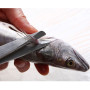 Curare Pesce