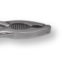 Dettaglio Schiaccianoci Inox