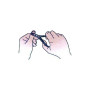 Disegno-Taglio-Pellicine
