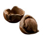 Nocciole