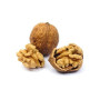 Noci