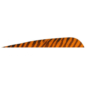 4''-Parabolic-Barrata-Arancione
