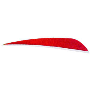 4''-Parabolic-Rossa