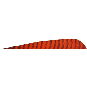 5'' Parabolic Barrata Rossa