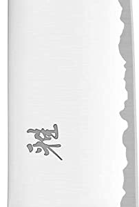 gyutoh-240-4000-fc